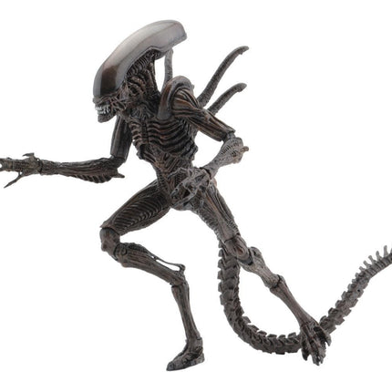 Warrior Alien Action Figure Serie 14 NECA 51651 #Scegli Personaggio_Warrior Alien (3948064342113)