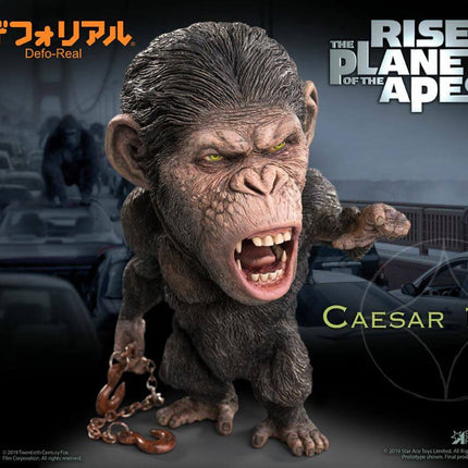 Cezar Rise of the Planet of the Apes Deform Real Series Planet of the Apes Statuetka Łańcuch wer. 15 cm